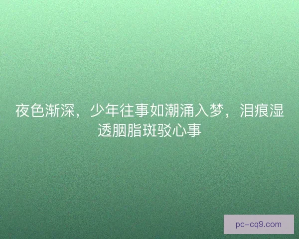 夜色渐深，少年往事如潮涌入梦，泪痕湿透胭脂斑驳心事